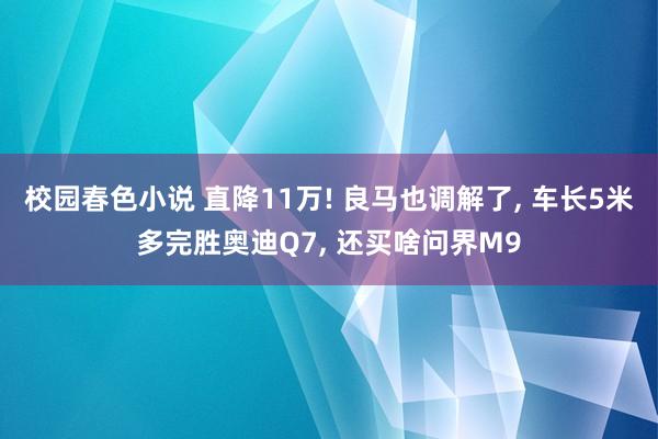 校园春色小说 直降11万! 良马也调解了, 车长5米多完胜奥迪Q7, 还买啥问界M9