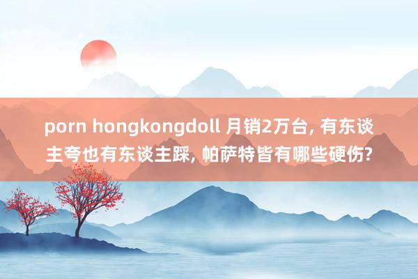 porn hongkongdoll 月销2万台, 有东谈主夸也有东谈主踩, 帕萨特皆有哪些硬伤?